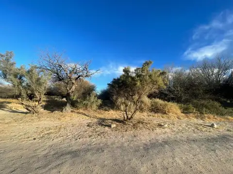 Terreno en Venta de 1000,0 m2