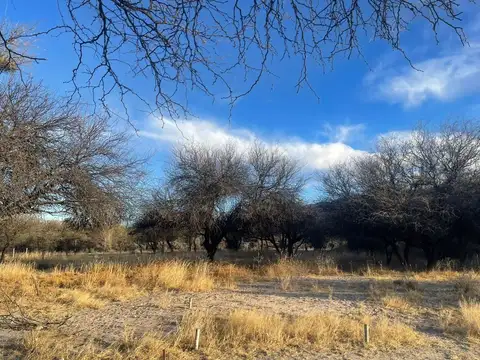 Cafayate. El Bosque. Lote 100