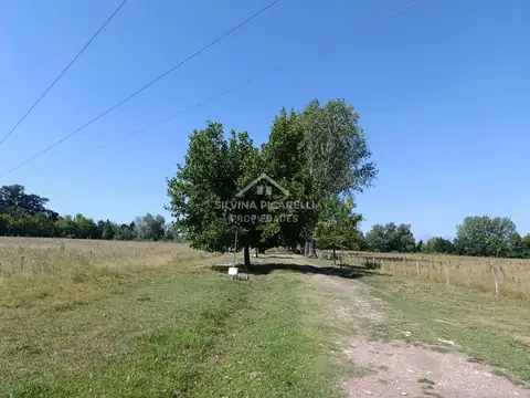 VENTA CHACRA 10 HA. IDEAL INVERSORES Y DESARROLLO EN TORRES RUTA 192 KM 14500