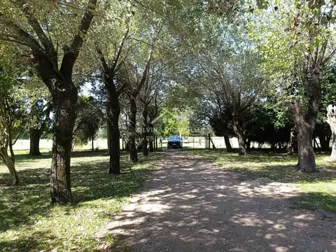 Casa en Venta 25 años