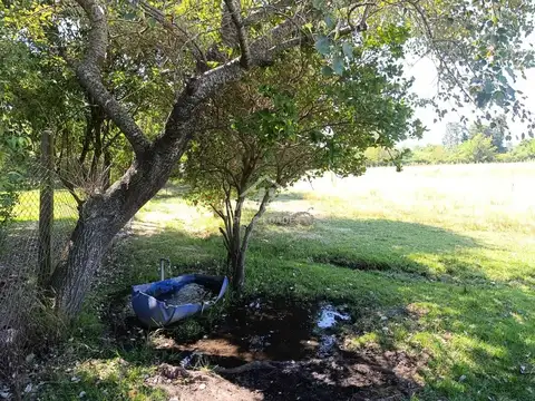 Casa Quinta  en Venta en Torres, Luján, G.B.A. Zona Oeste