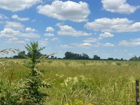 CAMPO EN VENTA ETCHEGOYEN LUJAN EXALTACION DE LA CRUZ