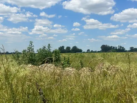CAMPO EN VENTA ETCHEGOYEN LUJAN EXALTACION DE LA CRUZ