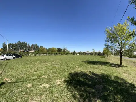 PUCARA LOS BUHOS, ROLDAN