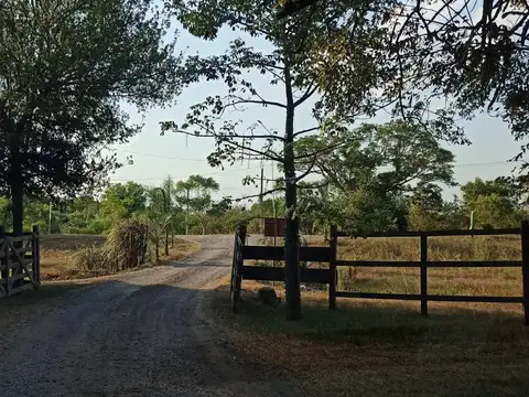 Ruta 11