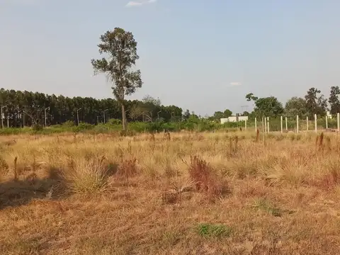 Ruta 11
