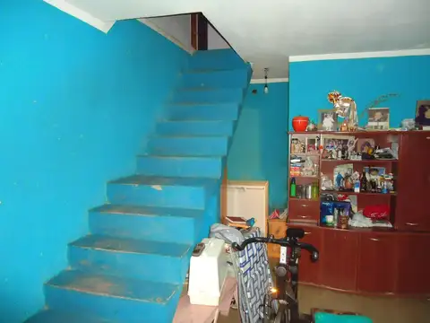 Ameghino 800