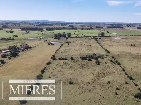 Chacra en Venta en Maldonado, San Carlos.