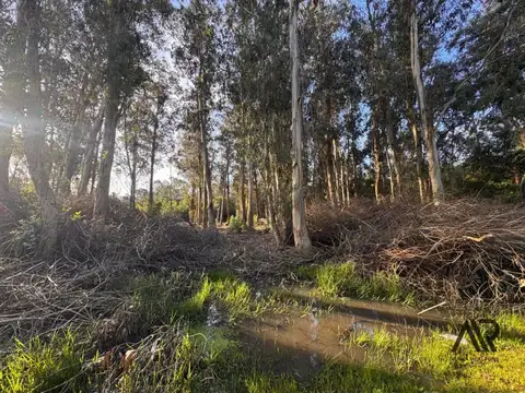 Terreno en venta de 510m2 ubicado en Sauce de Portezuelo