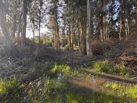 Terreno en venta de 510m2 ubicado en Sauce de Portezuelo