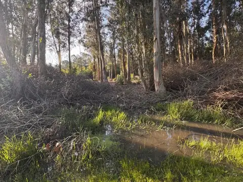 Terreno en Venta en Sauce De Portezuelo, USD 38.000