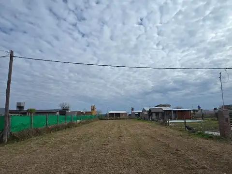 Neuquen
