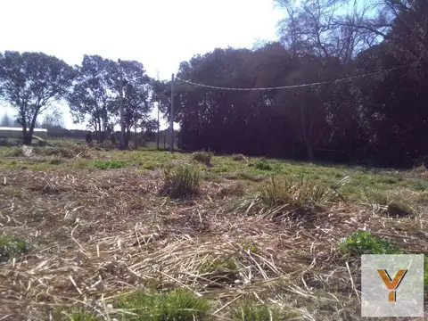Terreno en venta - 13.63 x 33.73mts - 432 mts2 - Arturo Seguí