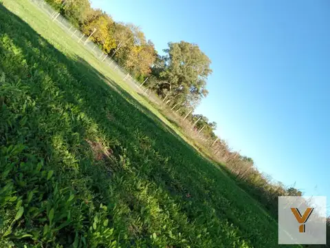 Terreno en venta - 13.63 x 33.73mts - 432 mts2 - Arturo Seguí