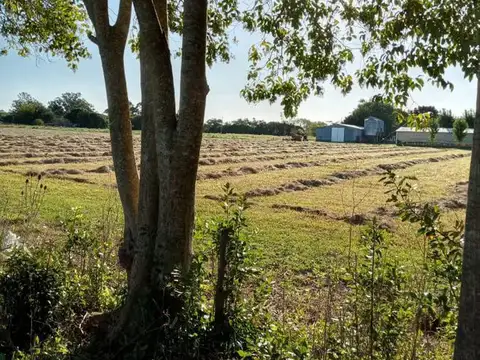 Terreno en venta - 13.63 x 33.73mts - 432 mts2 - Arturo Seguí