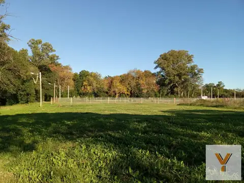 Terreno en Venta en Arturo Seguí, USD 32.000