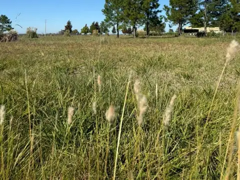 Terreno en Venta en Club de Campo Las Hojas, Countries y Barrios Cerrados en Marcos Paz