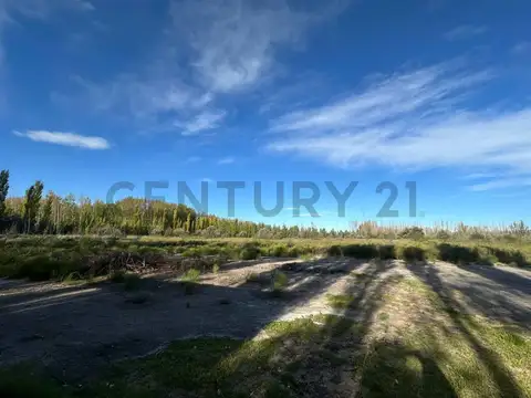 Casa en Venta en Cervantes, USD 30.000