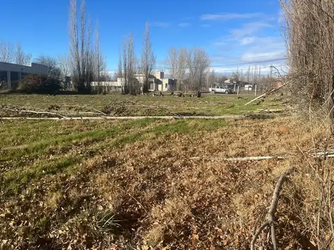 Terreno en Venta en Plottier, USD 85.000