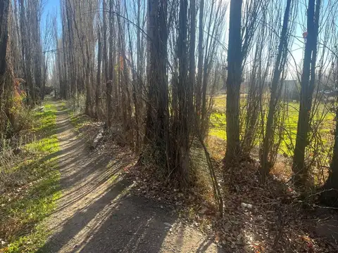 Terreno en Venta en Plottier, USD 85.000