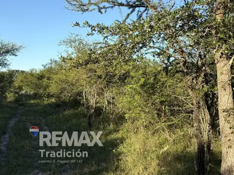 Terreno de 5 has en Venta - Puerto Tirol