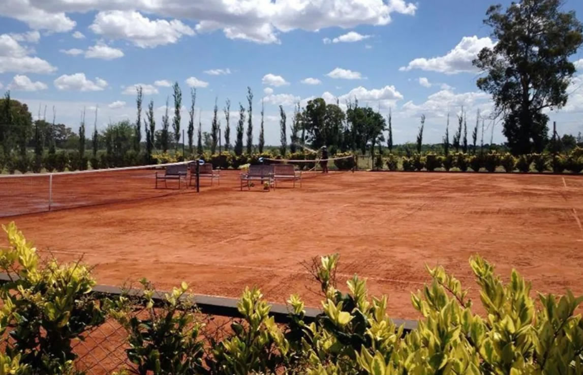 Pinares