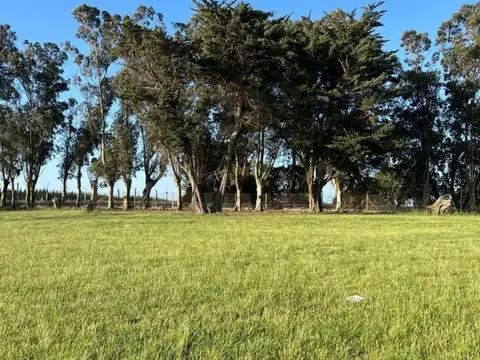 Terreno en Venta de 1360,0 m2