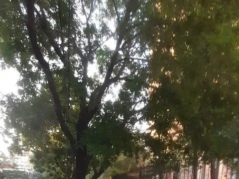 Departamento en Alquiler Permite mascota