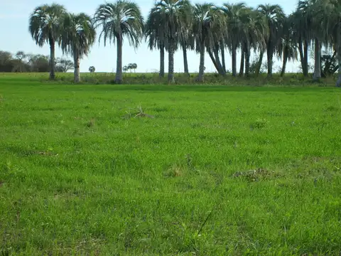 Campo en Venta de 4.123  ha