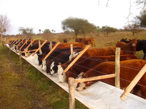 Campo en Venta de 4.123  ha