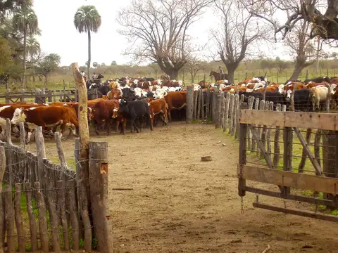 Estancia "San Esteban" en Federal, Provincia de Entre Ríos