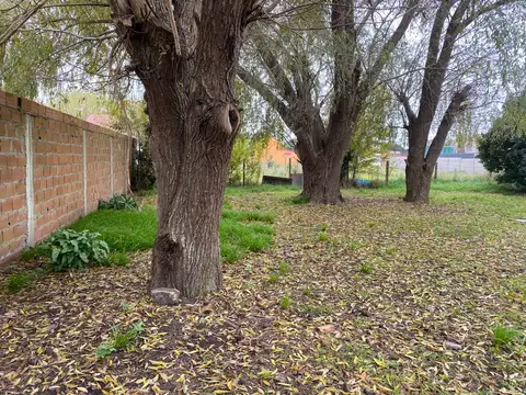 Terreno en Venta de 616,0 m2