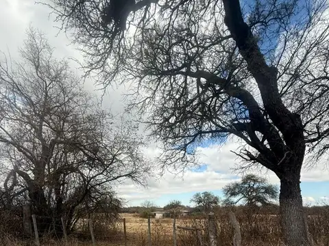 Terreno en Venta de 32332,0 m2