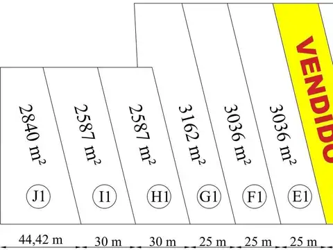 Silvestre Begnis 1100