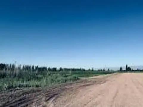 VENTA DE CAMPO LAVALLE-JOCOLI MENDOZA