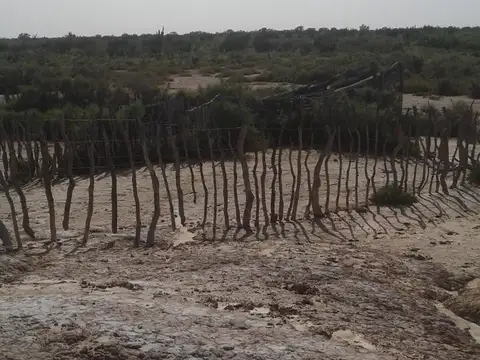 1000 ha - Herrera - Sgo. del Estero