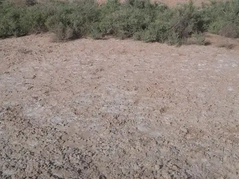 1000 ha en Venta - Herrera - Santiago del Estero