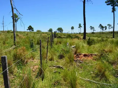 Loteo Las Bagualas, Villa Yacanto