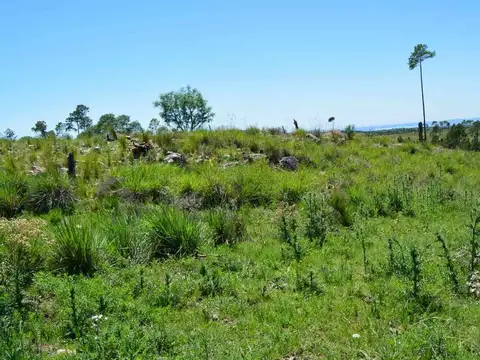 Terreno en Venta de 3000,0 m2