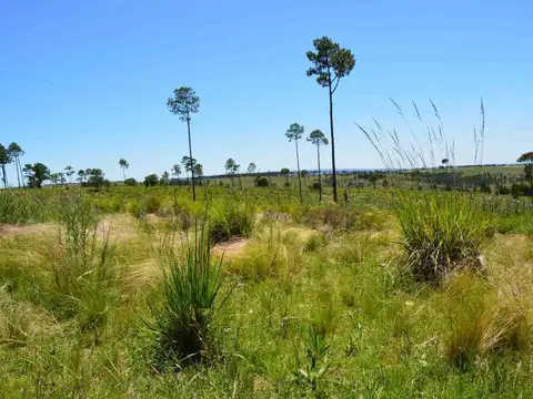 SE VENDEN TERRENOS DESDE 3000 m2 CAMINO AL DURAZNO