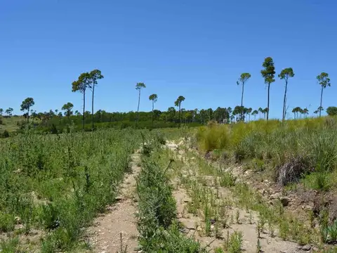 Terreno en Venta en Yacanto Calamuchita, USD 25.000