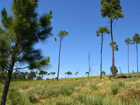 Terreno en Venta de 3000,0 m2