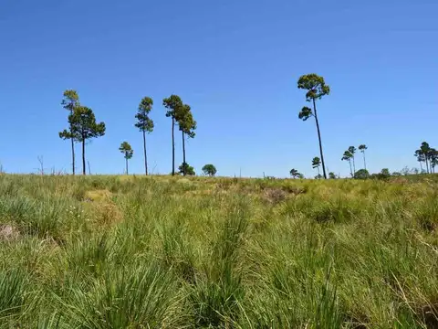 Terreno en Venta en Yacanto Calamuchita, USD 25.000