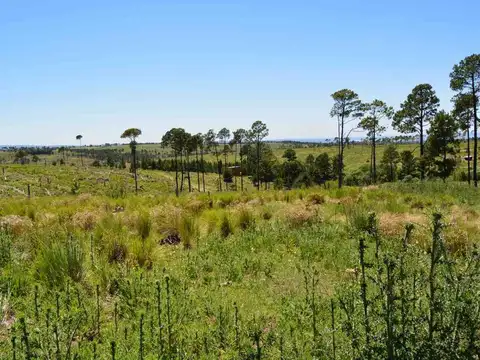 Loteo Las Bagualas, Villa Yacanto