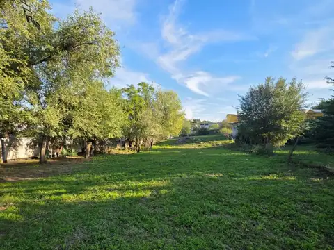 Terreno en Venta en Villa Santa Cruz del Lago, Punilla