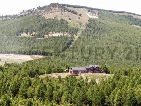 Terreno en Venta en Villa Pehuenia, Aluminé