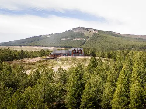 Terreno en Venta de 1194,0 m2