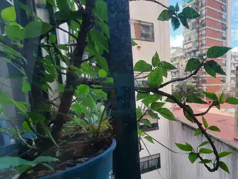 Departamento en Venta 55 años