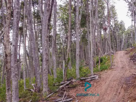 Terreno en Venta 50  mts Fondo