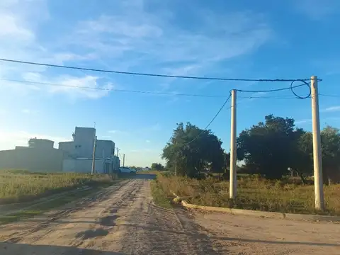 Juan Lapalma 800